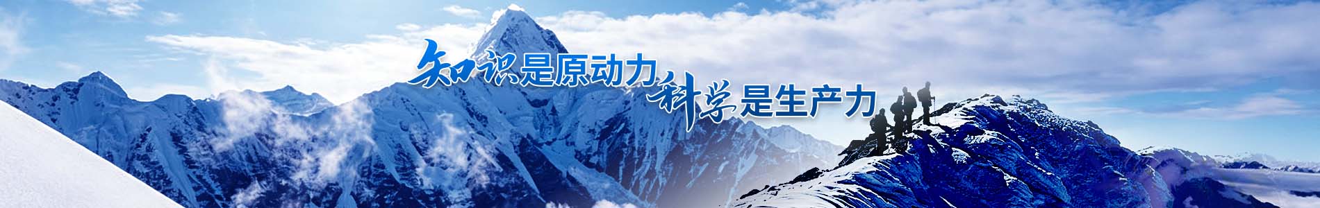 合作案例