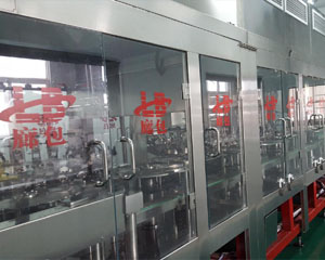 Automatic Metal Bowl Filling Production Line & Bird